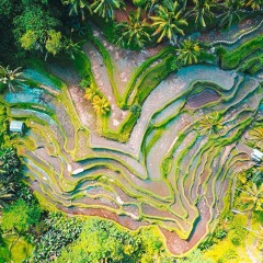 New Levels, New Devils