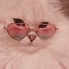 WARR_OR - All about you slowed