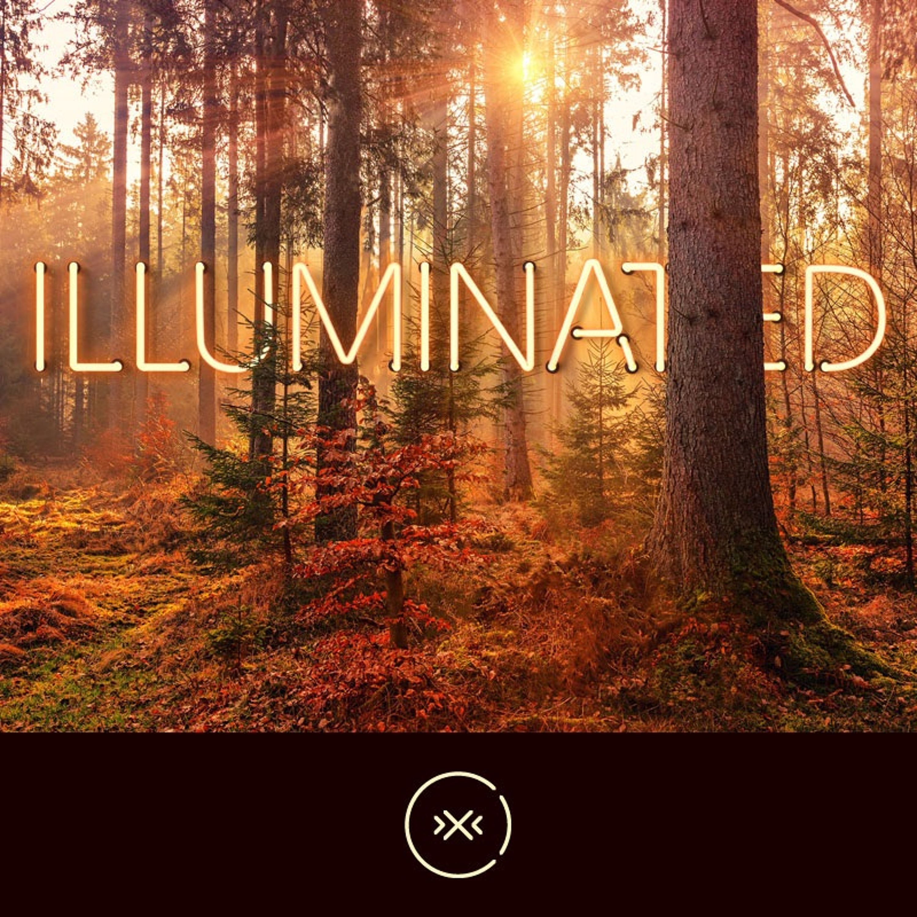 Illuminated || Week 6 || Freedom episode artwork