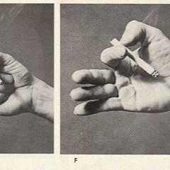 i need a beamer boy.