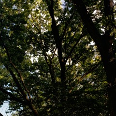 FRUIT SNACKS & STOMACH WORMS