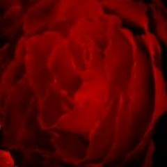 Sleep / Old projects 1 remixes