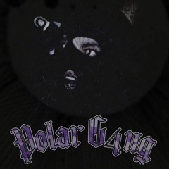 Polarg4ng Vol.2 Mixtape