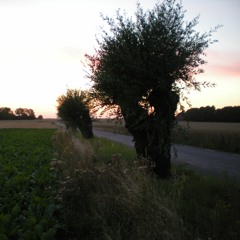 Psalm i Tacksamhet