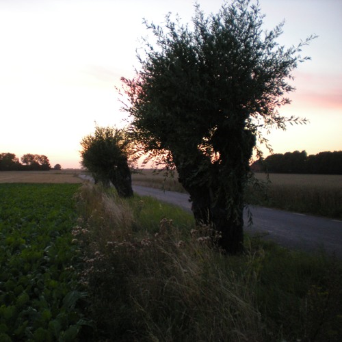 Psalm i Tacksamhet