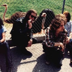 Feeling Yourself Disintegrate