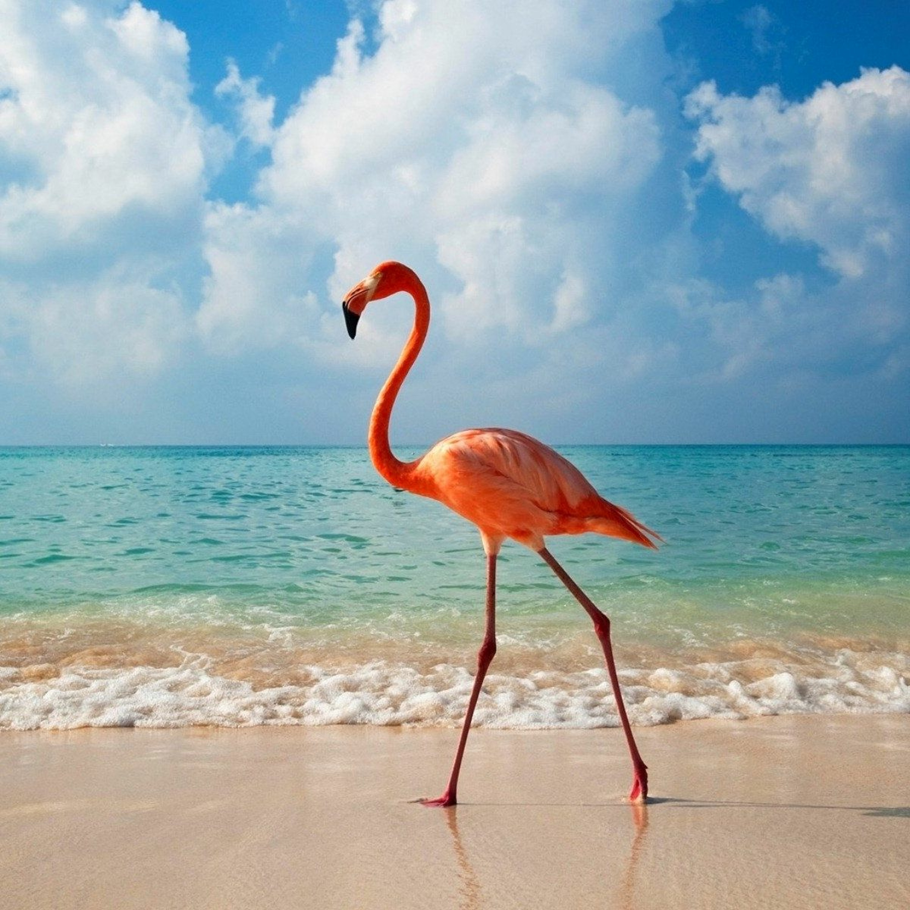 on the beach