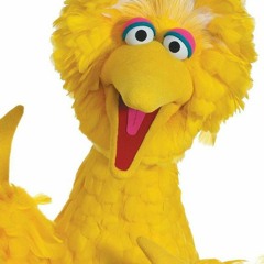 Big bird -Everybody Say