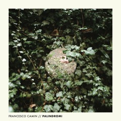 Francesco Camin - Verde