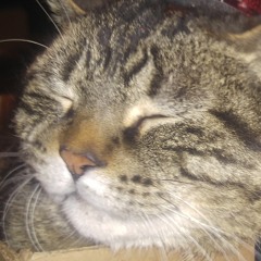 Nothing In Common But Nothing To Do