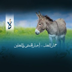 حمار المغفل - أخبار الحمقى والمغفلين