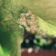 what the hell is going on