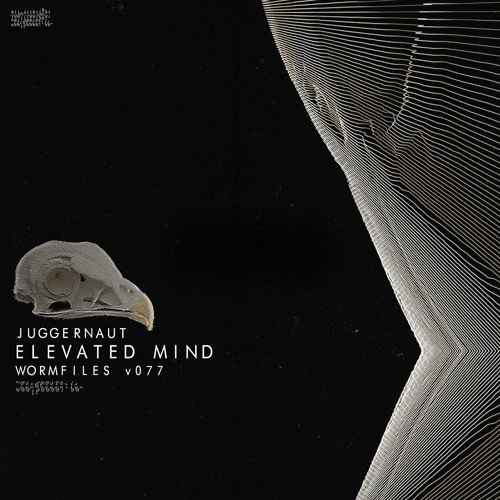 Elevated Mind - Juggernaut