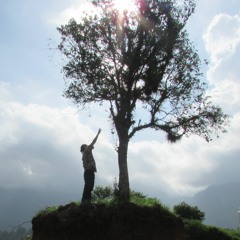 De vuelta al ejercicio - BASICO DELIC