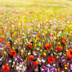 The Flower Field