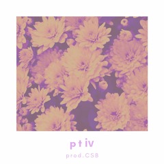 Pt.Ⅳ
