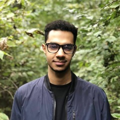 Mugtaba Swar-Eldahab_Diversity and Media_DeWitt_Asiala_Fall 2019