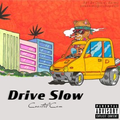 Drive Slow