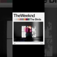 The Weeknd - The Birds Interlude (Live In San Francisco 12/17/12)