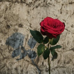 Amin Paling Serius - Sal Priadi ft. Nadin (solo cover version)