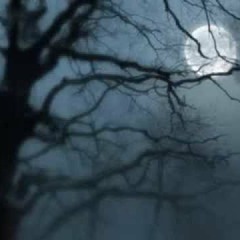 Concerto (Beethoven's Silence)