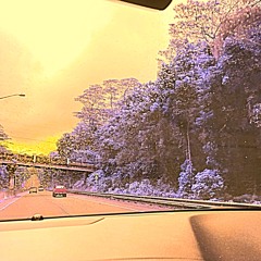 no - prod.(Donnie Katana)