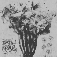 Testa Rose - Сигаретный Дым