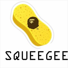 Squeegee