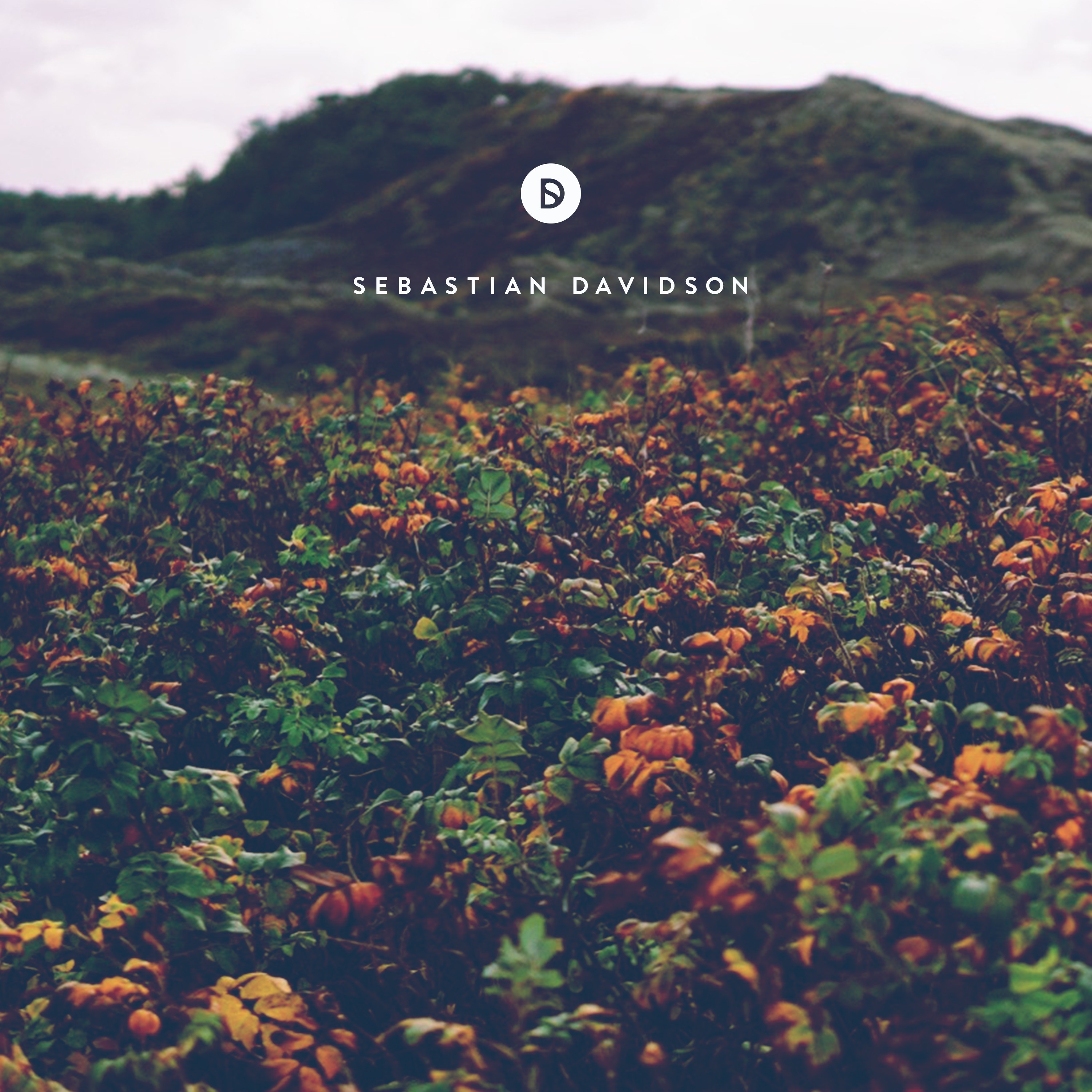 Voyage of Discovery by Sebastian Davidson