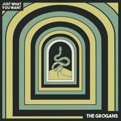 THE GROGANS - Waste My Time