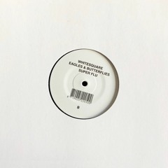 Tunnelvisions - Rain Dance (Super Flu's ACJ Remix)