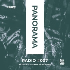 007 - PANORAMA Radio - Jochem Hamerling