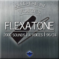 Sample - Hidden Voices, Flexatone