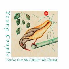 You've Lost the Colours We Chased