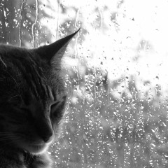 Jour de Pluie