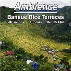 Sample - Ambience, Banaue Rice Terraces