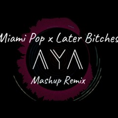 Miami Pop X Later Bitches (DJ AYA Mashup)