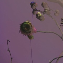 悶絶 EP ( Ecstasy EP )