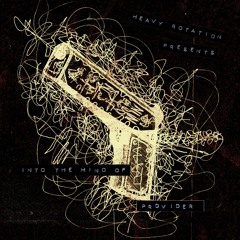 Into The Mind Of PROVIDER