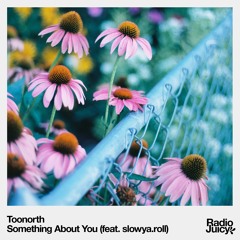 Toonorth - Something About You (feat. slowya.roll)