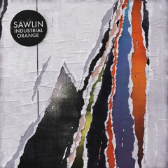 Sawlin - Industrial Orange (Ruede Hagelstein's Undustrial Remix) (Snippet)