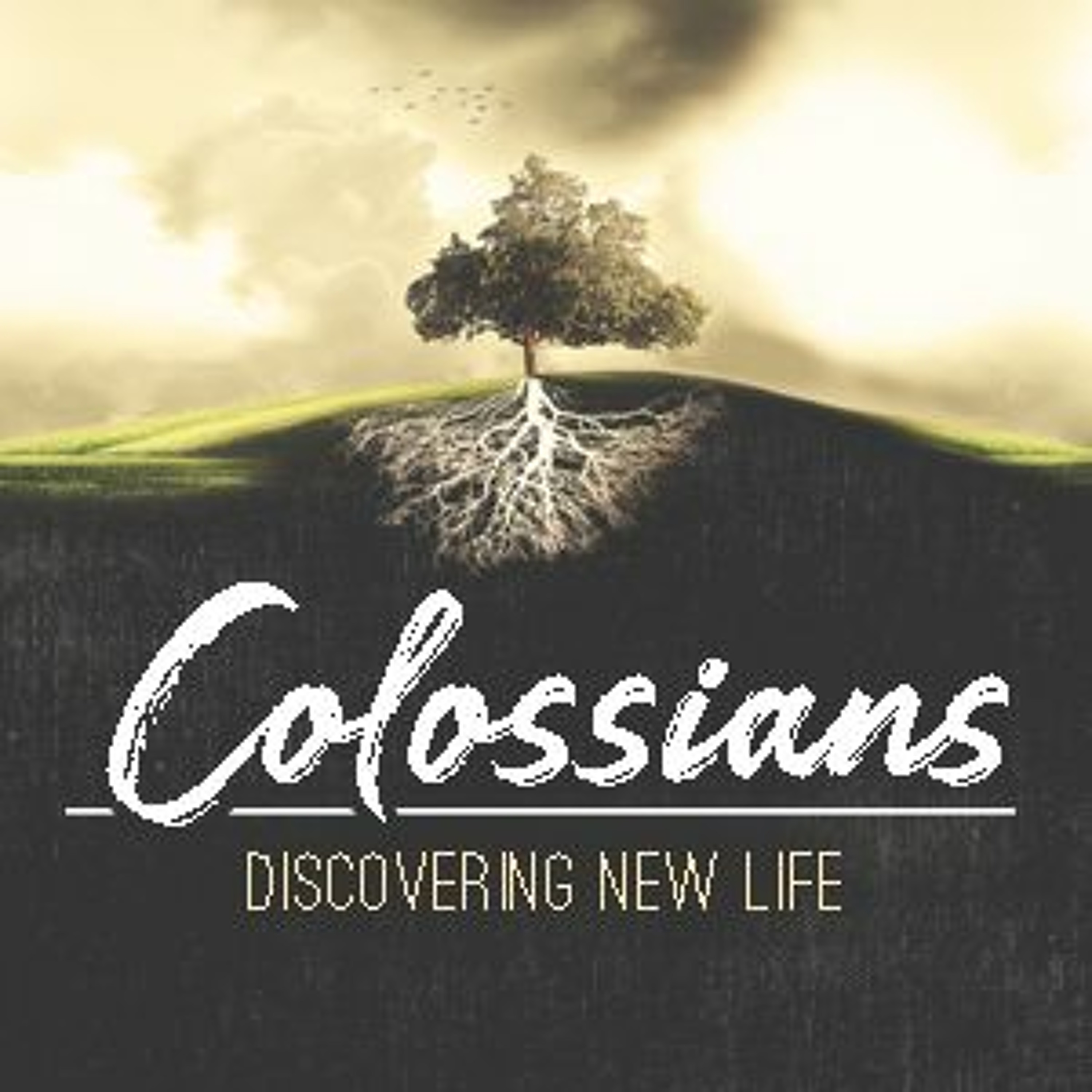 Colossians 2:13-3:17 - Old Life vs. New Life episode artwork