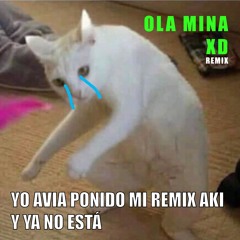 dirtilarita - Ola Mina XD (remix)