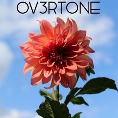 Benjamín Amadeo ft. Los Auténticos Decadentes - Las Flores (OV3RTONE Edit)