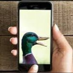 That Epic And Relatable Moment When You Find A Dead Body In Ur Popcorn - az