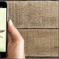 Bouncy Castle Sex Dungeon - az