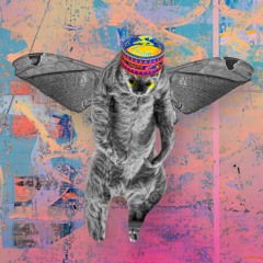 From Sloths to Moths