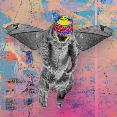 From Sloths to Moths