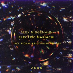 Alex Niggemann - Electric Mariachi (Rigopolar Extended Remix)