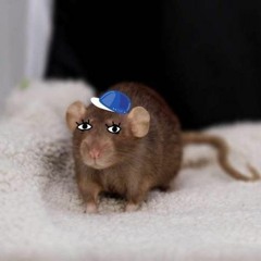 HiGHest iN tHe sEWeR - PROD. BY T SCOTT